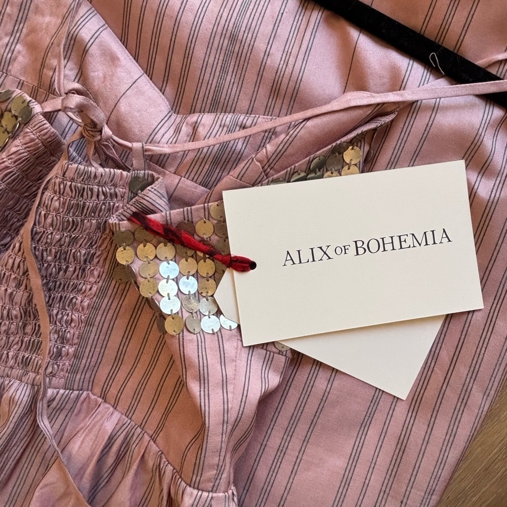 Alix Of Bohemia Pink‎ and Coin Maxi Dress - Picture 2 of 7